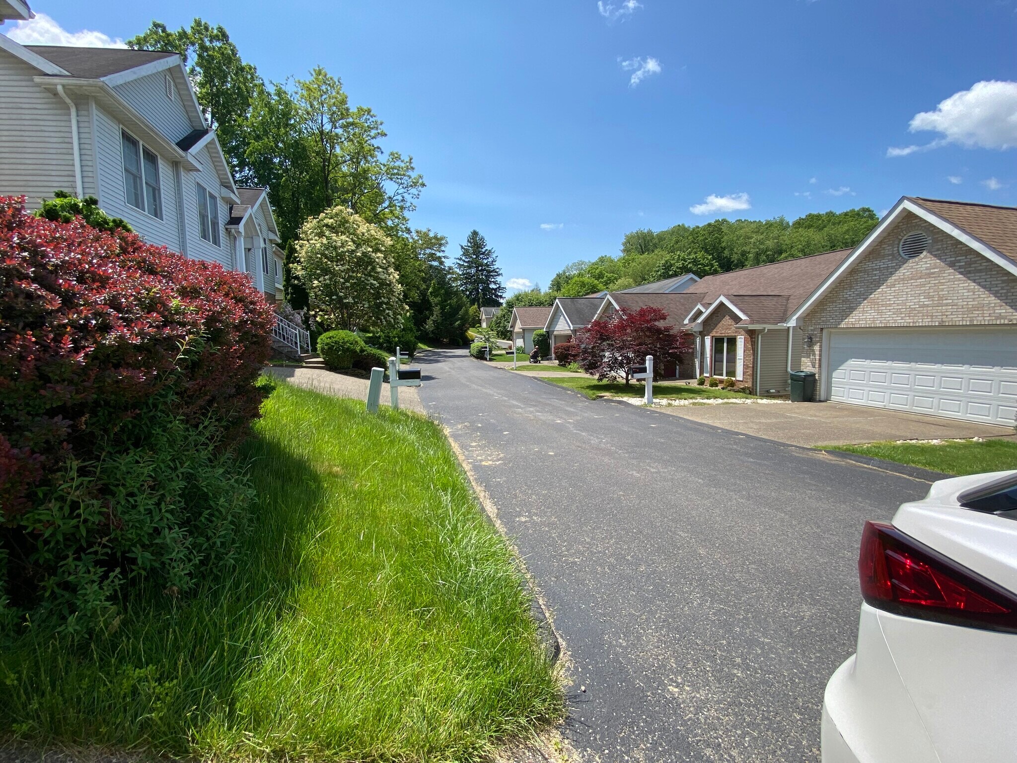Building Photo - 123 Cobblestone Cir