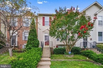 Building Photo - 8534 Pine Meadows Dr