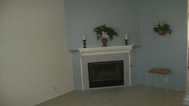 Living Area & Gas Log Fireplace - 41590 Maroon Town Rd