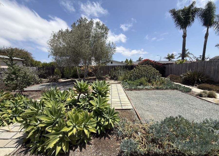 Backyard garden - 3112 Idlewild Way