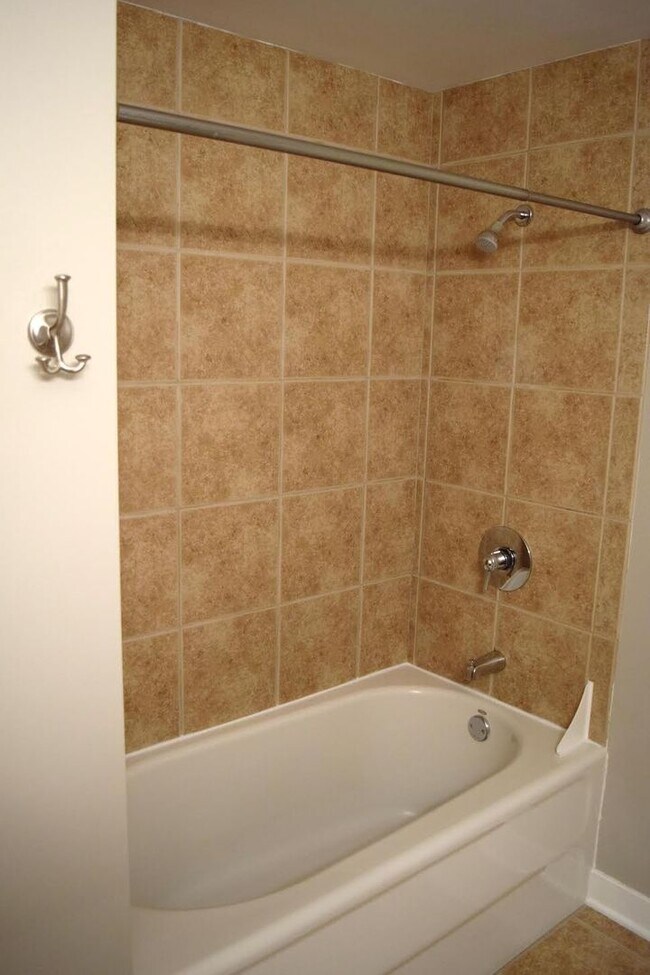 Building Photo - South Loop Chicago 1 Bed 1 Bath Apartment