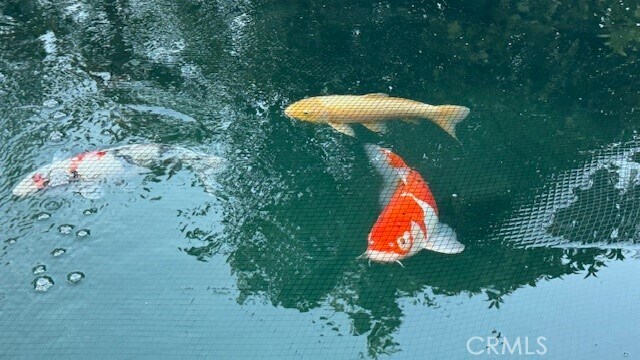 Building Photo - 141 S Peralta Hills Dr