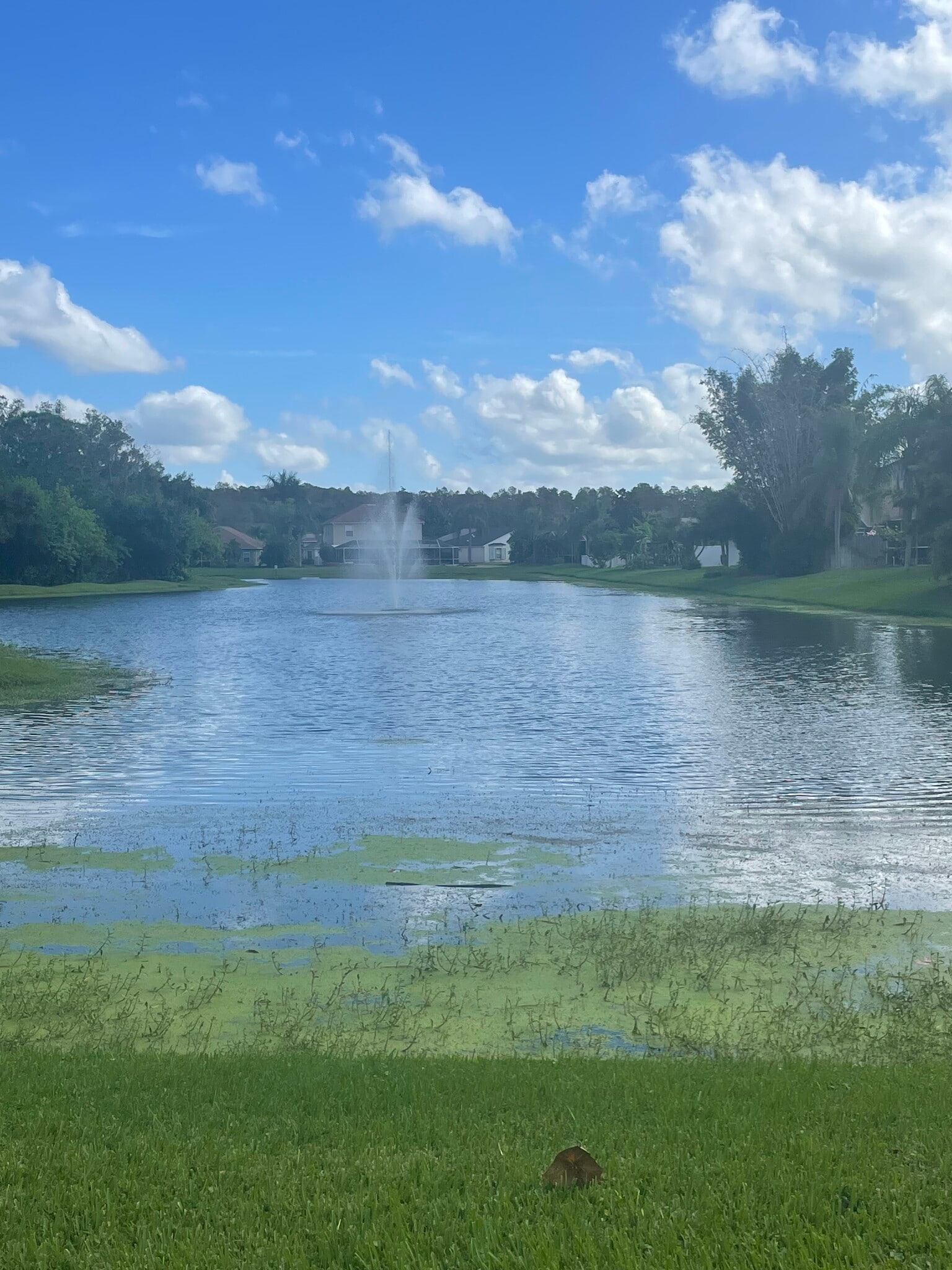 Building Photo - 554 Lake Cypress Cir