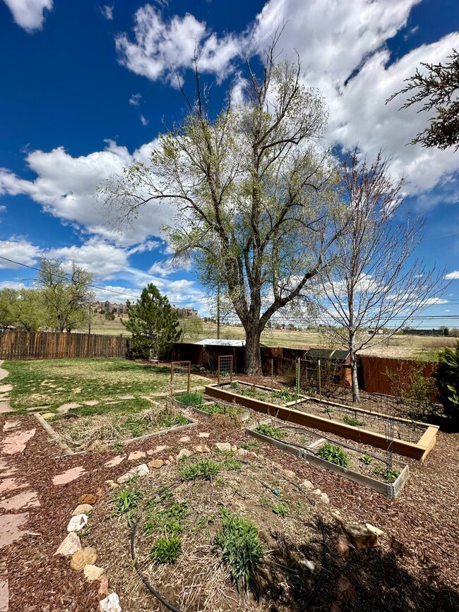Building Photo - Charming Updated Ranch-Style Home