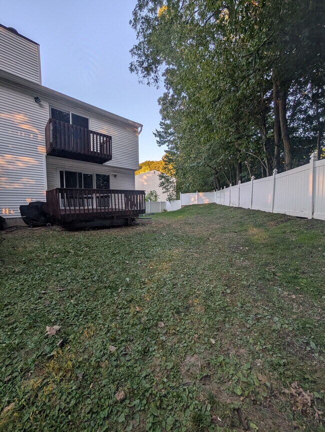 Back Yard - 2 Marc Ct