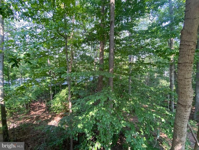 Building Photo - 4115 Corbin Hall Ln