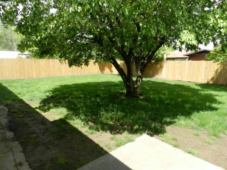 Large, fully-fenced backyard. Backyard dogwood. - 9003 SE Stephens St