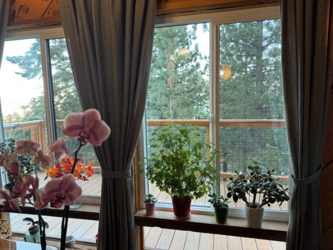 Building Photo - 355 Tramway Dr