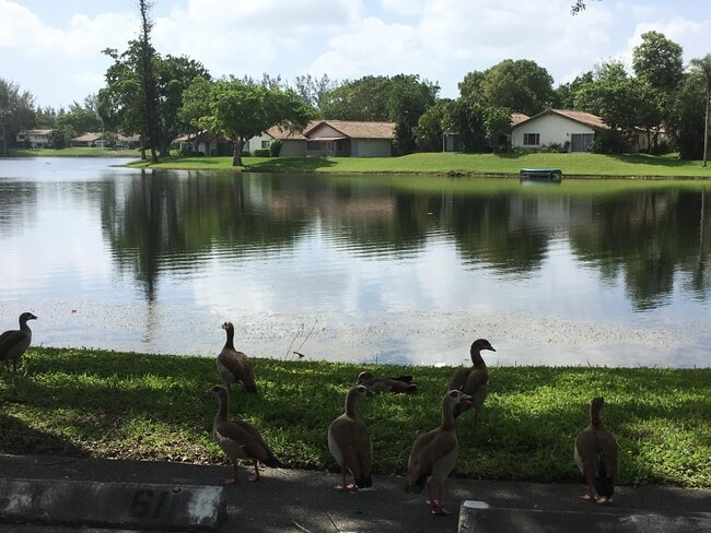 Building Photo - 3720 Inverrary Dr