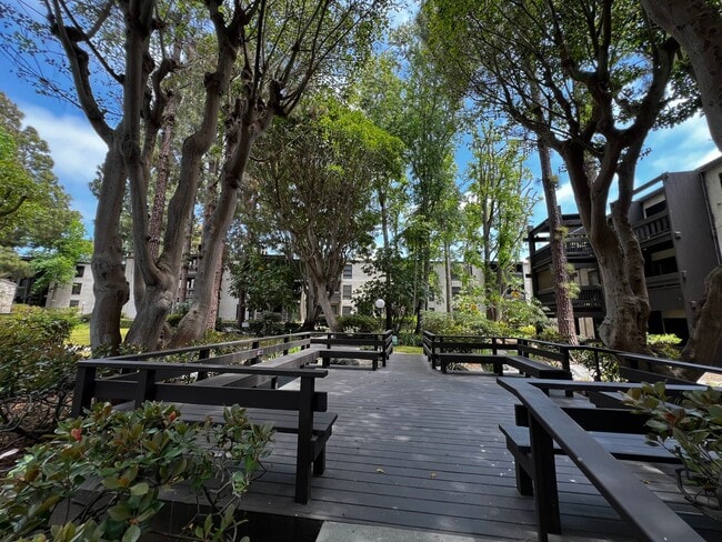 Building Photo - Two Bedroom One Bath Condo for Rent in Pla...