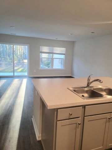 VIEW FROM THE OPEN KITCHEN - 207 Cozy Brook Ct