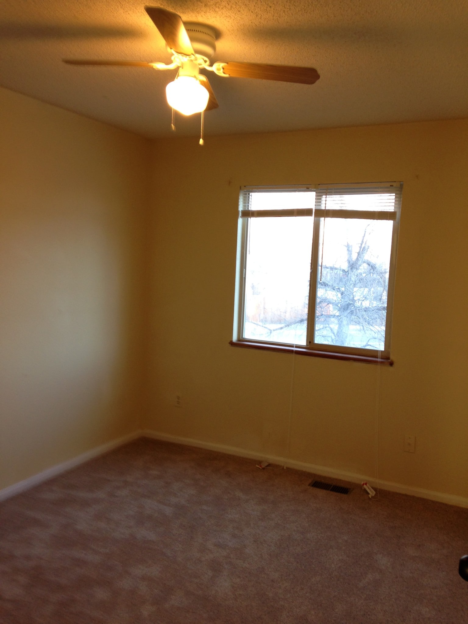 Building Photo - 2204 S Del Norte Dr