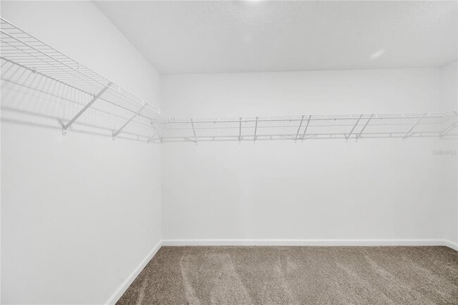 Building Photo - 3460 Chinotto Dr