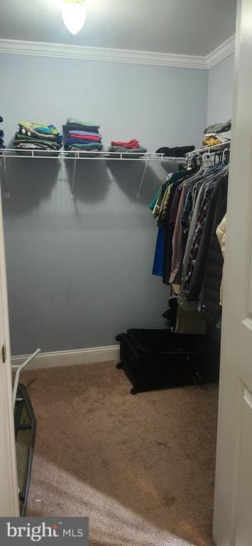 Building Photo - 2 Marchesi Dr