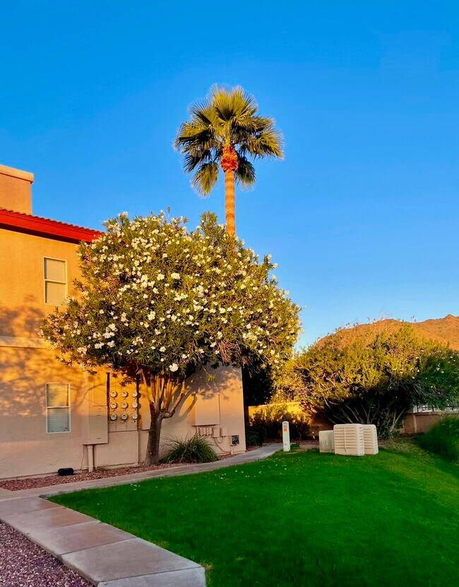 Building Photo - 10410 N Cave Creek Rd