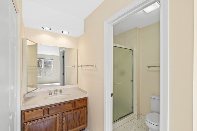 MASTER BATHROOM - 1282 N Streamwood Ln