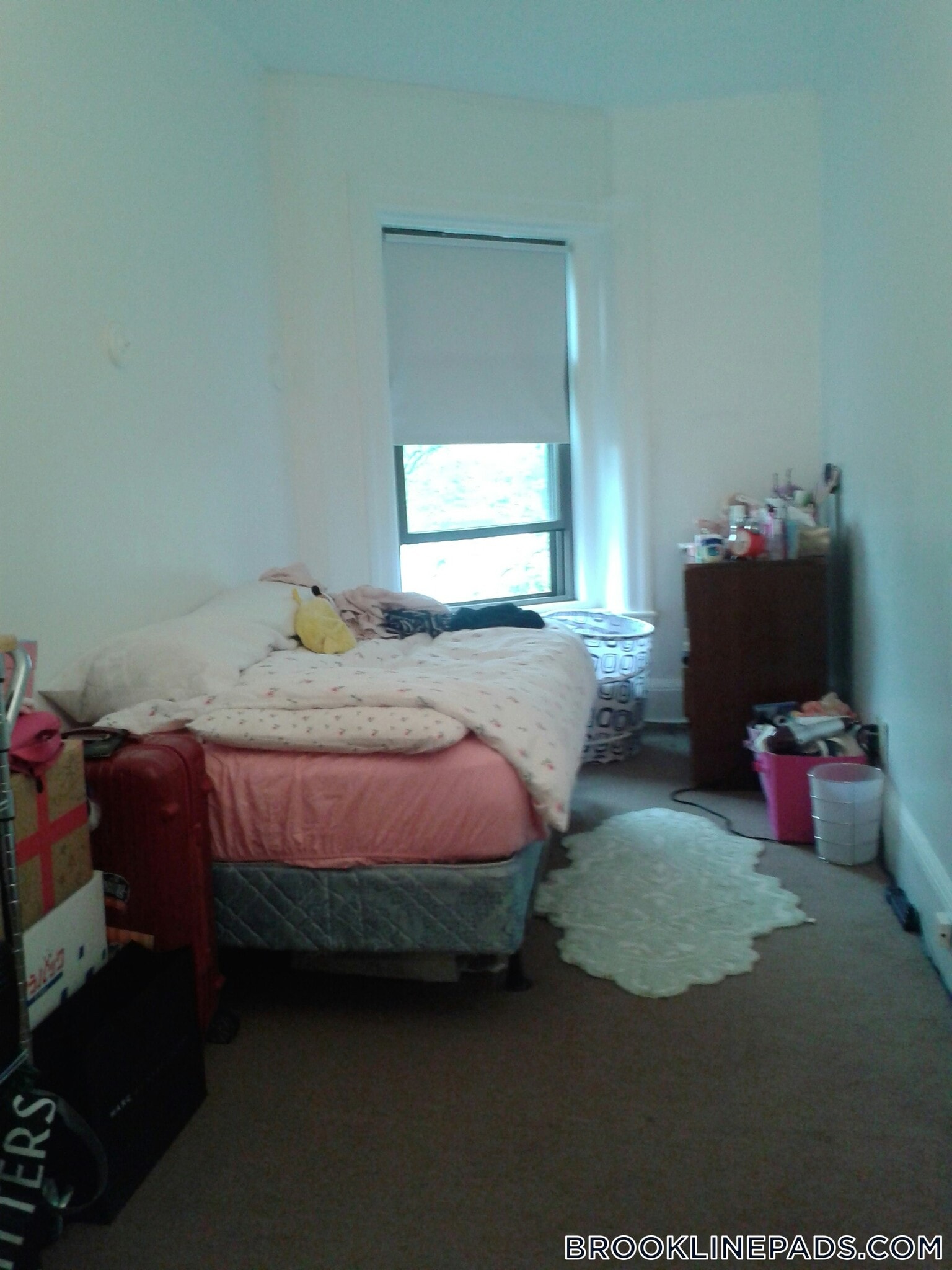 Building Photo - 1061 Beacon St