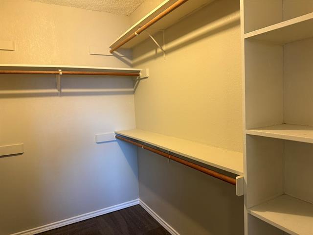 Building Photo - 3416 Lillie St