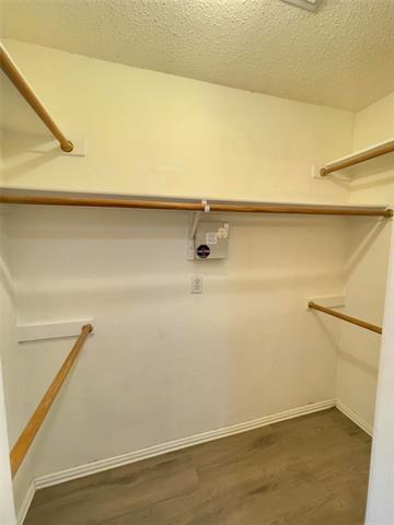 Building Photo - 1046 Palomino Dr