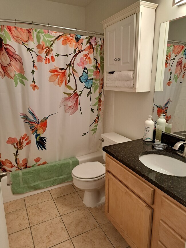 fully equipped bathroom with shower/tub combo - 1966 Goldsmith Ln