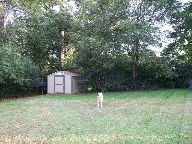 Backyard with fence and doggie door - 1416 Williams Road