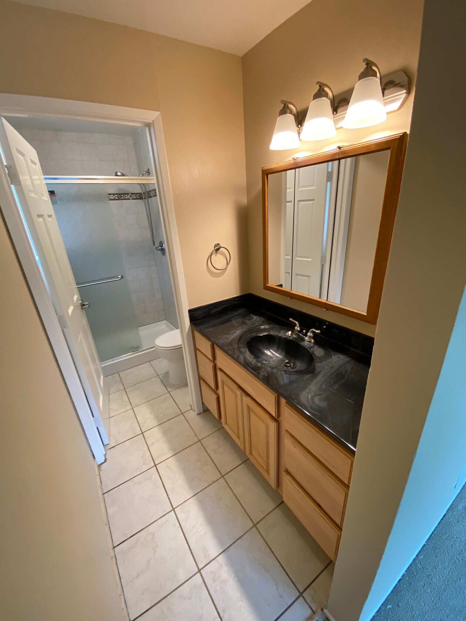 Master bedroom / bathroom - 258 Canterbury Ave