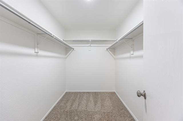 Building Photo - 2831 Grandview Dr