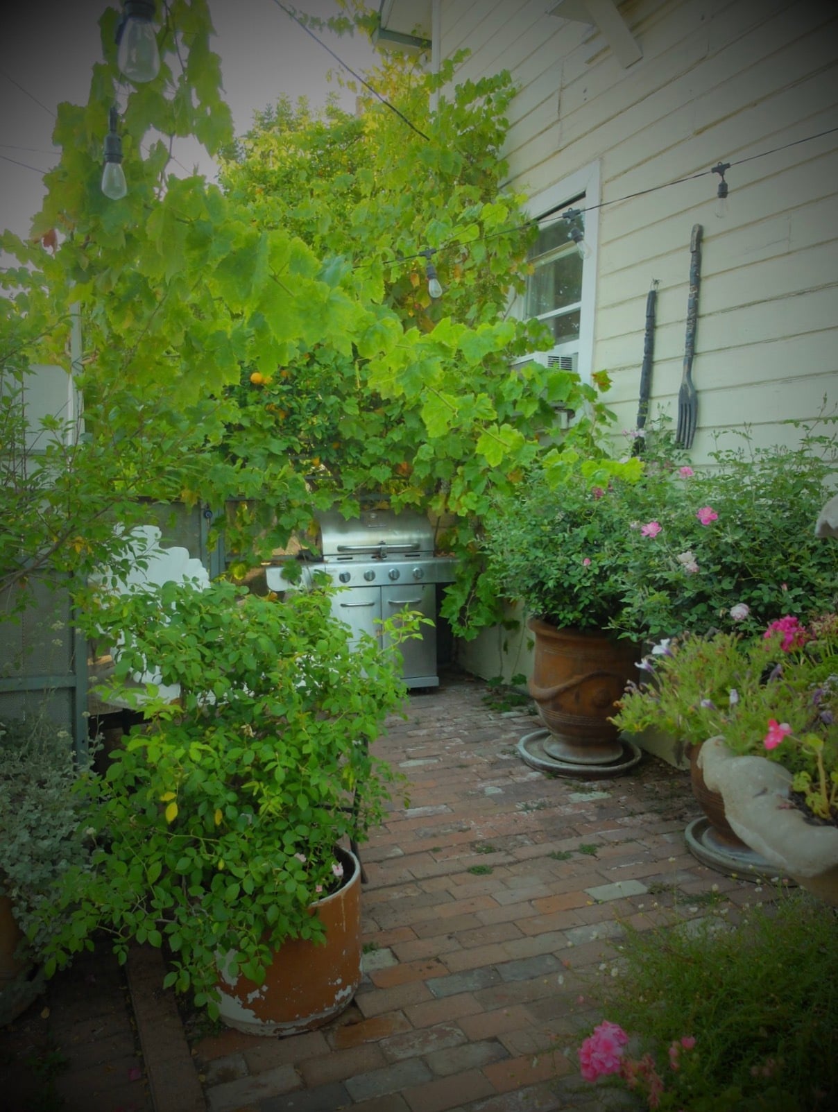 Rear Private Garden with Red Brick - 822 E Kensington Rd