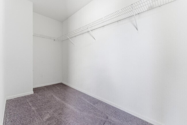 Building Photo - 3688 Cainhoy Ln