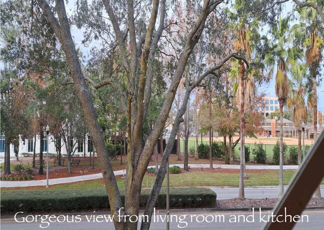 View from Living room window - 2505 Shadow View Cir