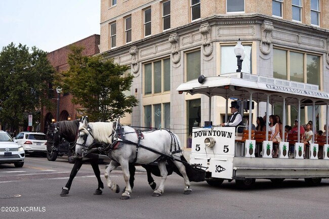 Building Photo - 4711 Azalea Landing Dr