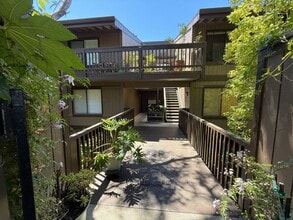Building Photo - SAN CARLOS - Newly Remodeled 1 Bedroom Con...