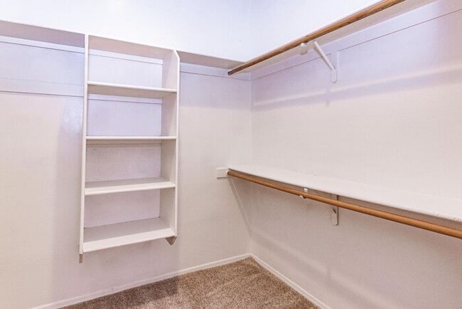 Building Photo - Beautiful and Spacious 3BR 2BA Home w/ Courtyard • Fenced Yard • Cul-de-sac in Tucson