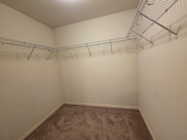 Building Photo - 4910 Pacific Ridge Ln