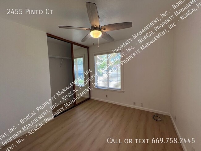 Building Photo - 2455 Pinto Ct