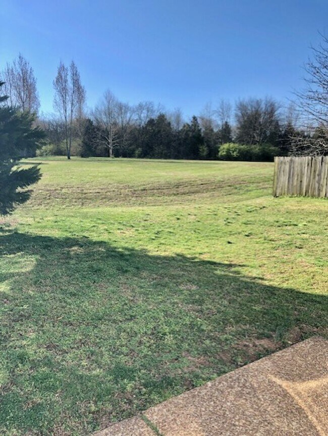 Building Photo - 4 bed, 2.5 Bath Home w/ 2 Car Garage in Franklin Green