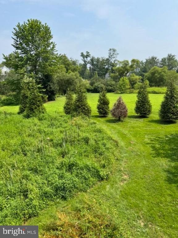 Building Photo - 85 VALLEY