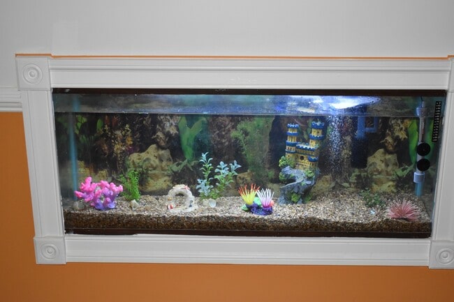 Building Photo - 6308 Joslyn Pl