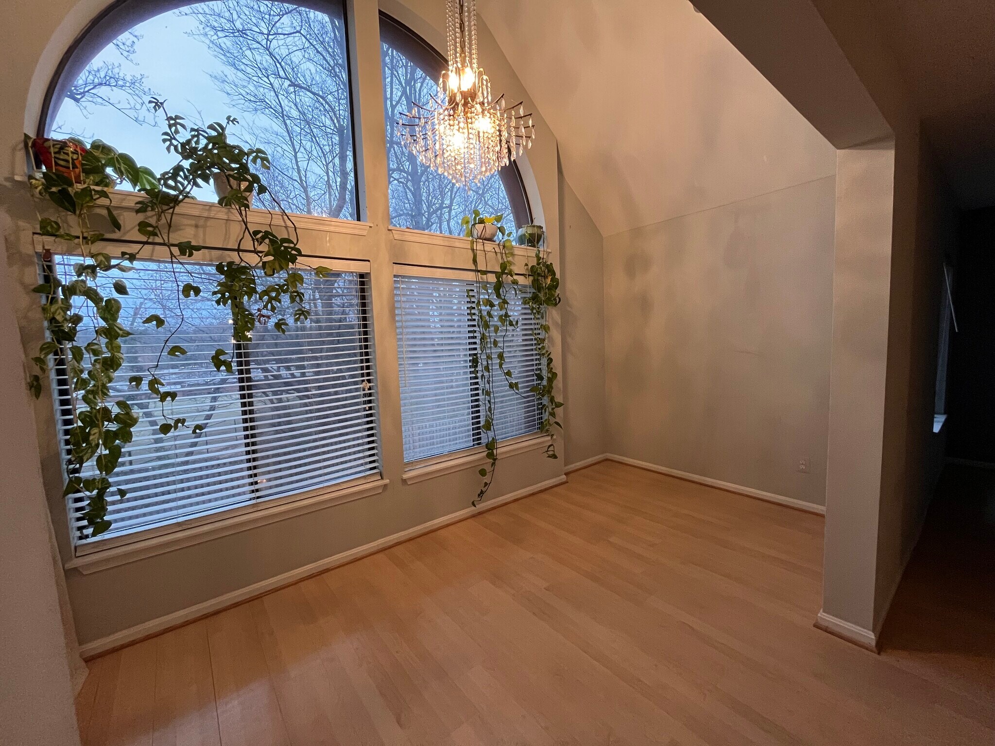 Sunroom - 2802 Lee Oaks Pl