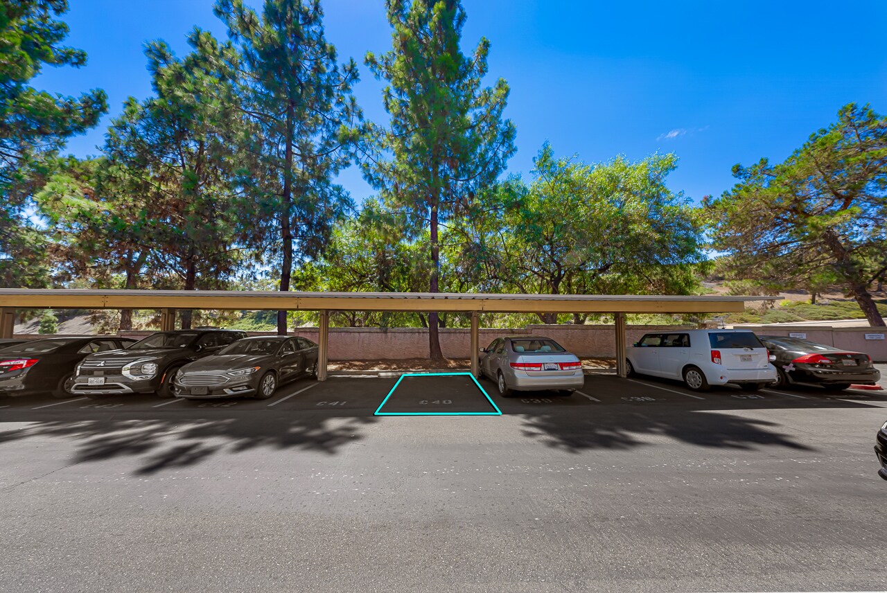 Building Photo - 12015 Alta Carmel Ct