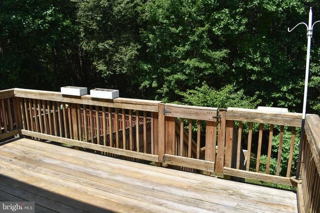 Building Photo - 1302 Arabis Ct