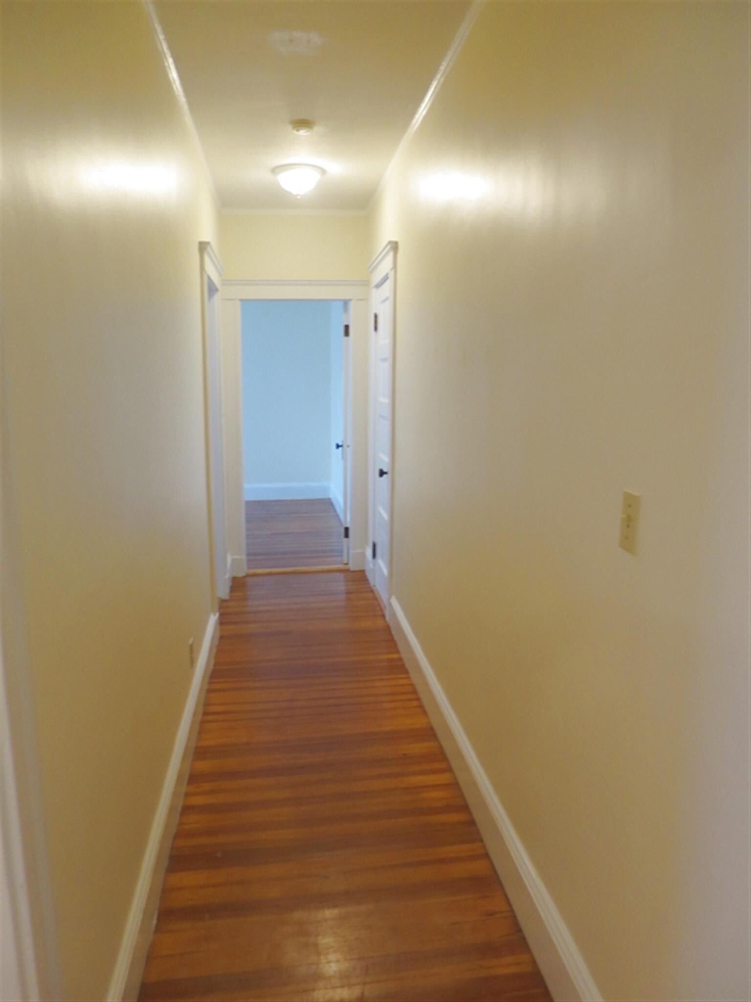 Building Photo - 5 Freeman St