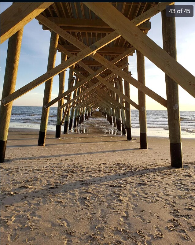 Building Photo - 4008 Cypress Frst Wy