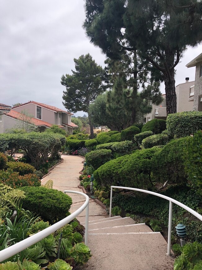Communal areas - 28214 Rey De Copas Ln