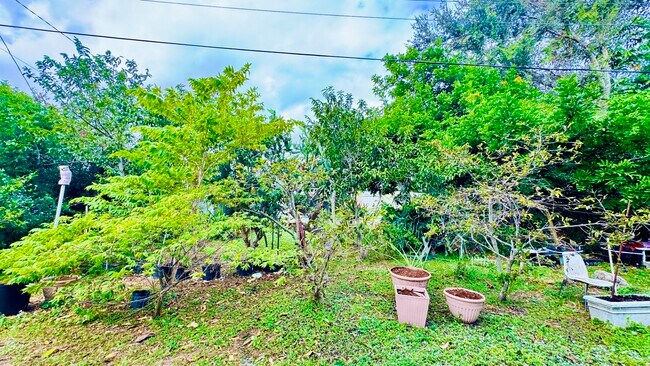 Building Photo - 347 Flagler Blvd