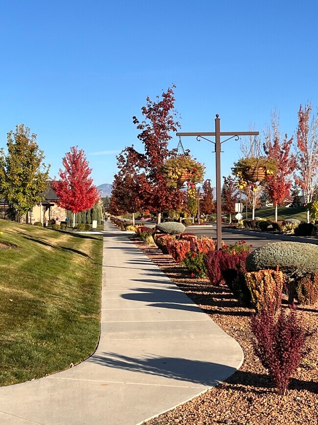 Building Photo - 8108 W Grey Alder Dr