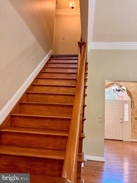 Building Photo - 9008 Doris Dr