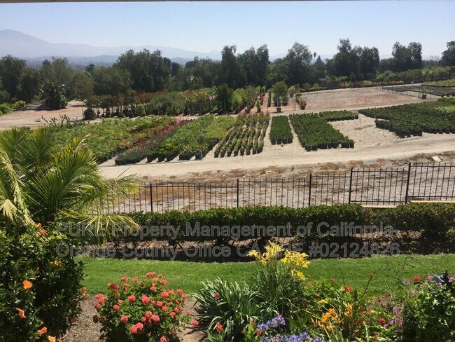 Building Photo - 3107 Via Serena S