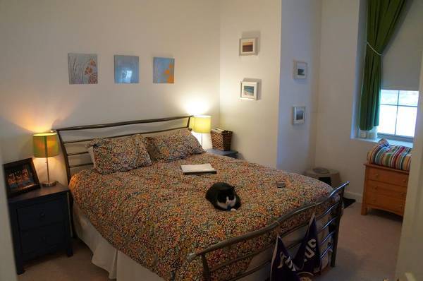 Building Photo - 48 Forest St