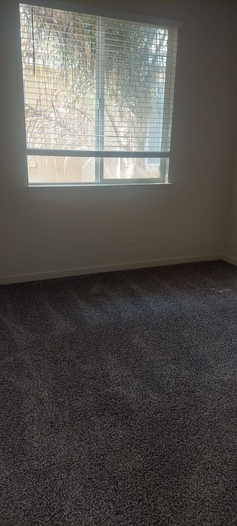 Building Photo - 1382 Rincon Dr